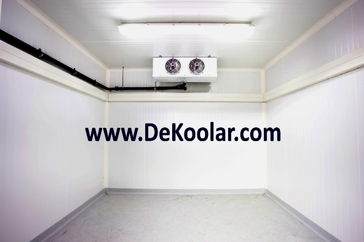 Dekoolar Coldroom-In-Nigeria-Interior Learn how to build Coldroom in Nigeria  