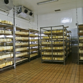 Cheese Storage In Dairy