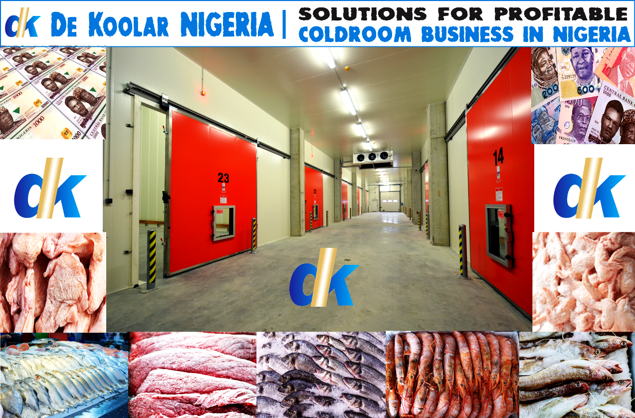 Dekoolar Cold-room-business-in-Nigeria How to run a viable frozen foods business in Nigeria - Complete expert guide  