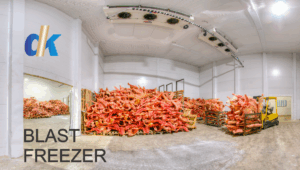 blast freezer
