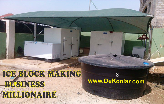 Make Millions from Ice Block Business in 6 Months - dekoolar.com