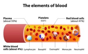 cold storage room for blood bank