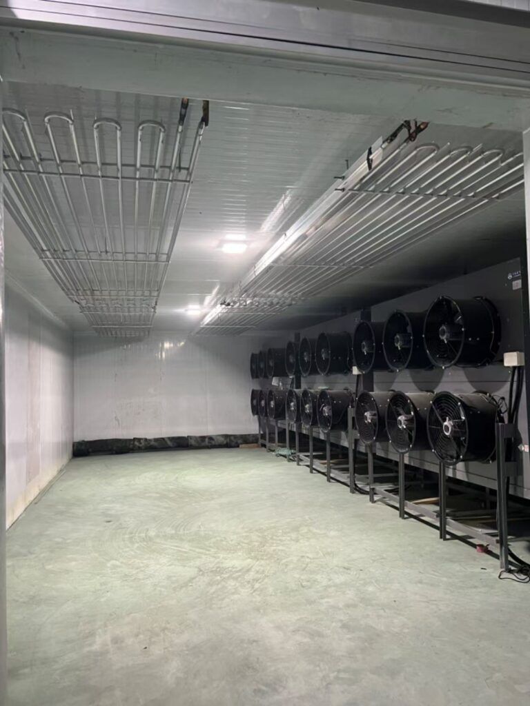 Blast Freezer Manufacturer in Nigeria